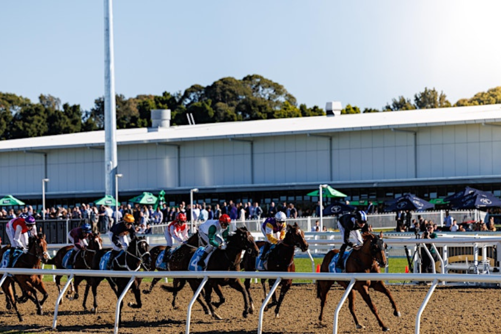 Demex Raceday: Aquis Tickets